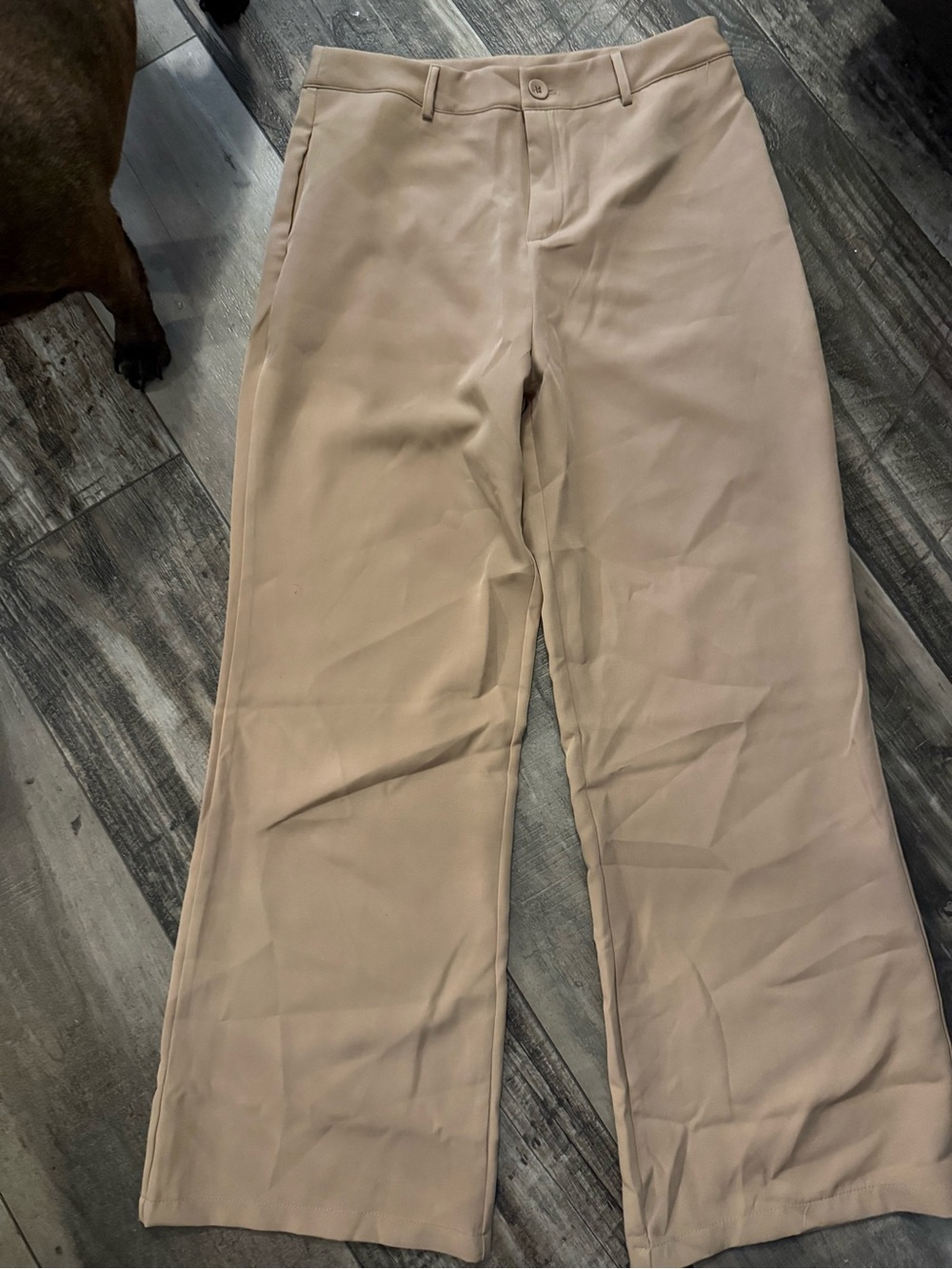 Tailored Wide-Leg Pants in Light Beige